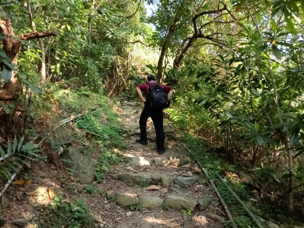 頭城鎮外澳車站+石空古道+太和山步道+蛇頭觀景台+象寮古道+烏山古道+外澳車站O型3018452