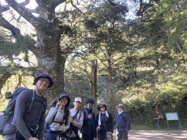 2025/08/17塔塔加、麟趾山、大鐵杉2891613