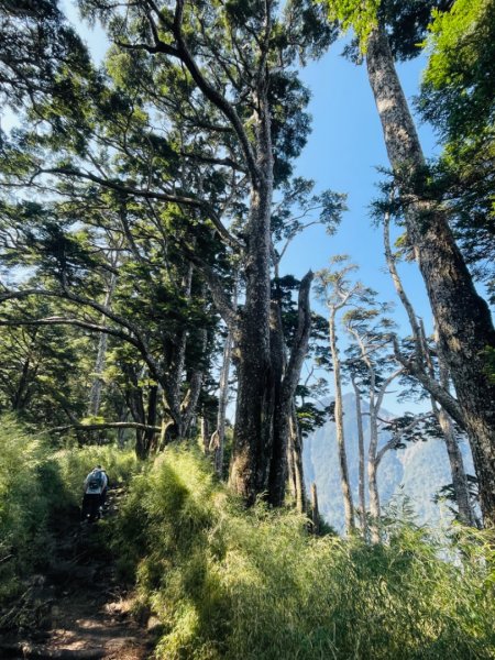 1140404二訪～塔關山2754078