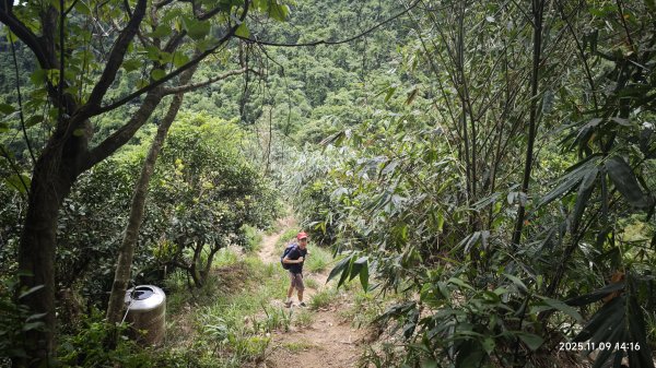 20251109 士林站到大湖站(福山宮_腰繞_燕溪古道_翠山步道_龍船岩_大溝溪)2932371