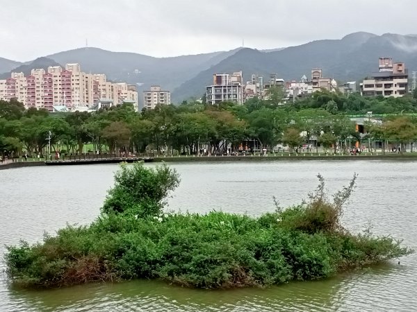 大湖公園《門庭若市》1903720