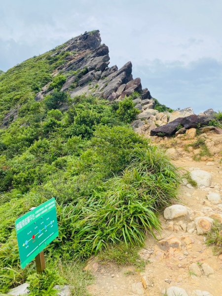 南子吝步道->  劍龍稜平台 ~  猶如台灣大山般的視野2576531