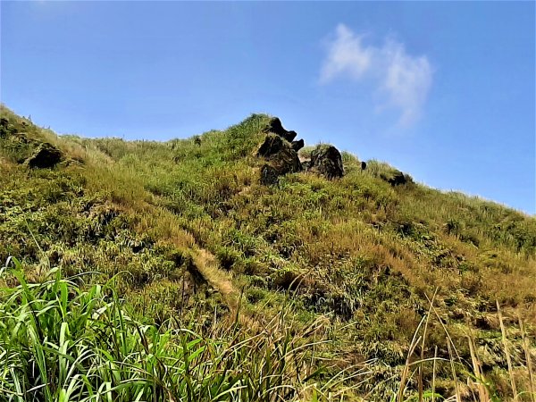 走遍陽明山：七星山系｜七星山 、夢幻湖2121100