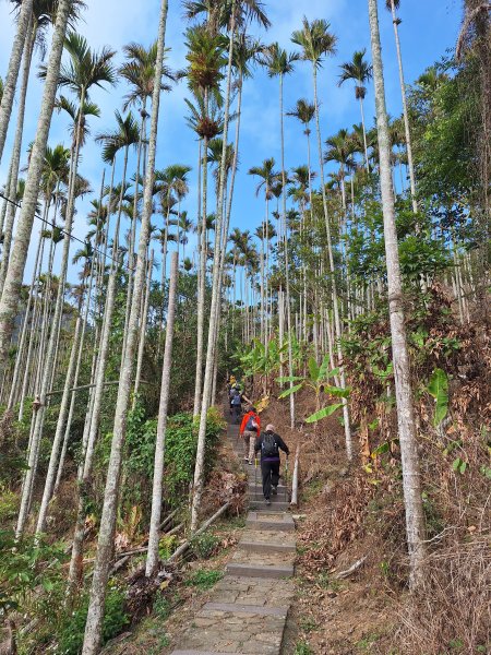 雲嘉大尖山(挑筍古道上)11502093045216