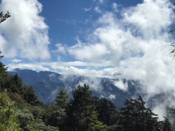 阿里山雙峰大塔山對高岳連走451445