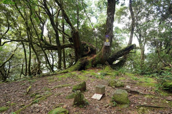 新北 烏來 山車廣山、檜山2567398