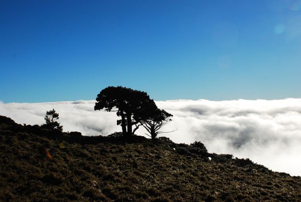 大水窟山的早晨，雲海鋪路217084