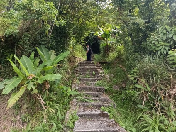 雙溪區雙澳崙+土地公嶺保甲路+青雲古道+遠景古道O型2910430