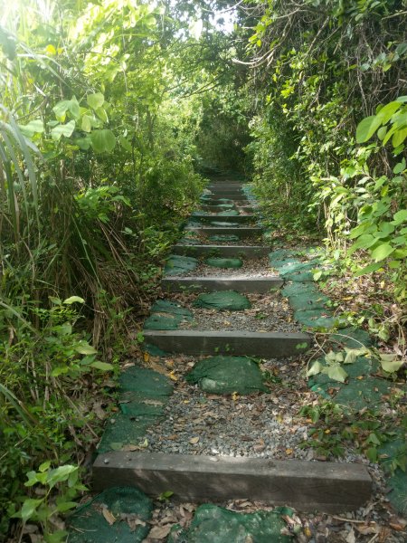 高雄市左營區-半屏山步道988136