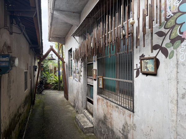 [樟之細路_第二大段RSA13] 2026_0328 渡南古道3025962