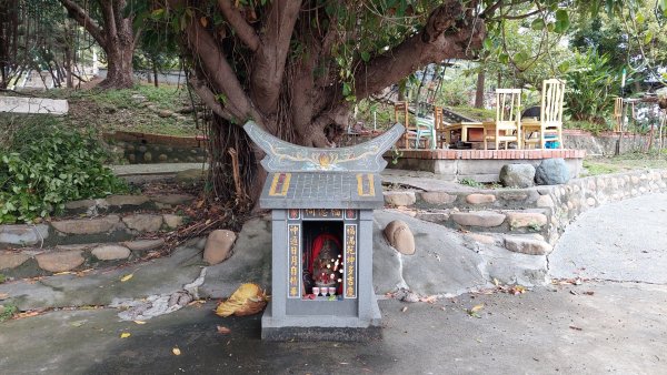 療癒森呼吸，阿里山三日行2764304