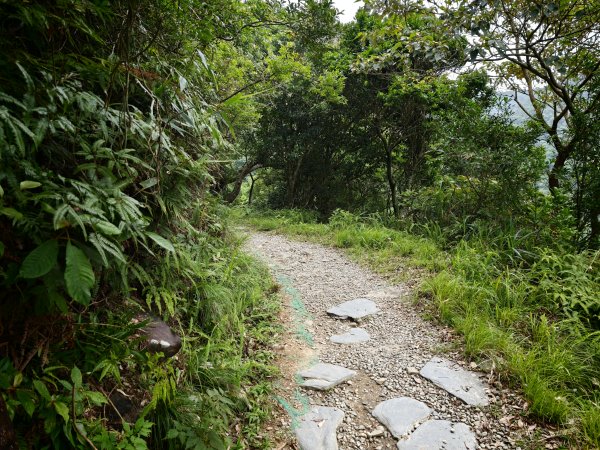 [淡蘭古道] 2026_0524 南路第五段_跑馬古道(下)-玉龍居3070195