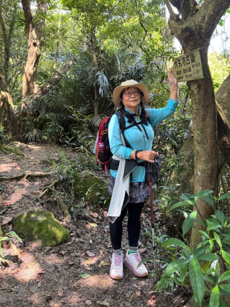 八結古道 頭寮山 慈湖3040074