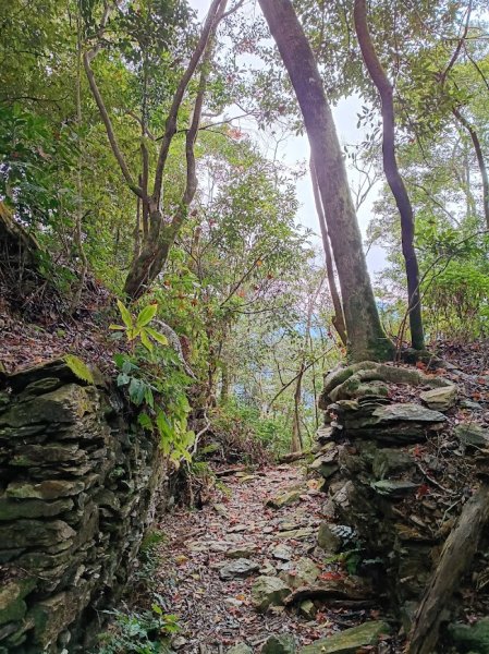 2025 12/27 鳴海山2970997