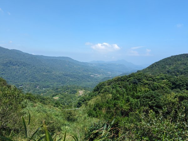 頂山石梯嶺步道2282554