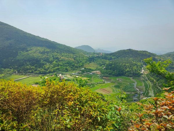 ［走遍陽明山］人車分道（二子坪~百拉卡+百拉卡~公車總站）2188979