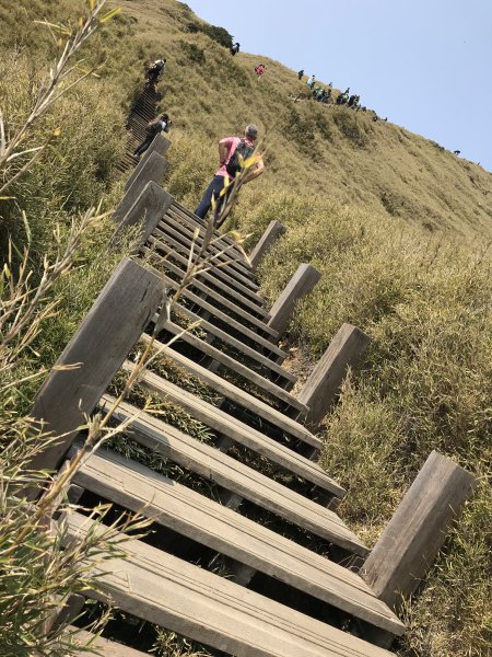 110年4月3日南投 合歡山東峰步道1433077