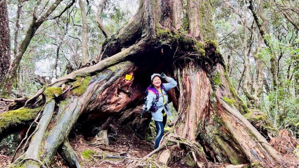 🌈4/13（日）（三）魔法森林-塔曼山~FB：熊熊趴爬走🌈2761301