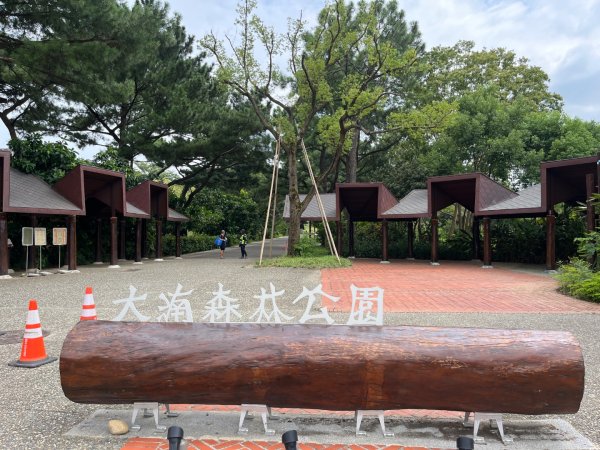 霄裡好風光，運動樂悠遊！2854818