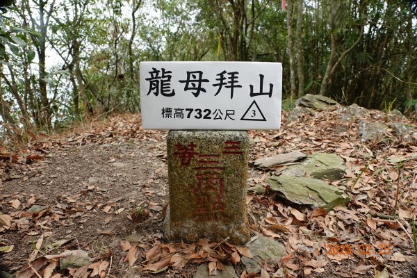 屏東 三地門 龍母拜山