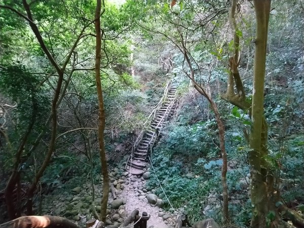 大坑步道全包一起登( 2 3維修)747627