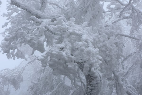  2021 D0101 純色北插1225511