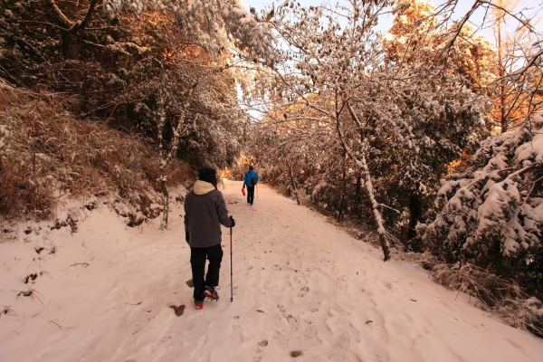 大雪山冬雪30224