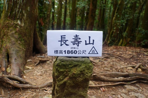 臺中 和平 大崠山、長壽山、醜崠山