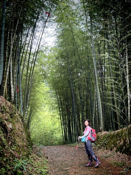 集集大山-車程步道竹林登山口202206121736347