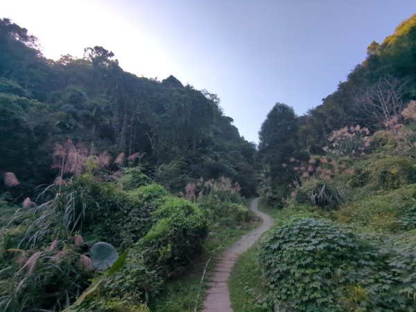 2025.11.15－鳴鳳古道2942988