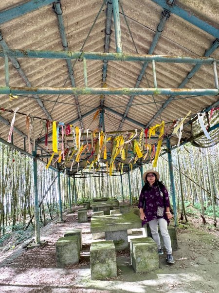 集集大山(小百岳#50）野店吃小吃2972030