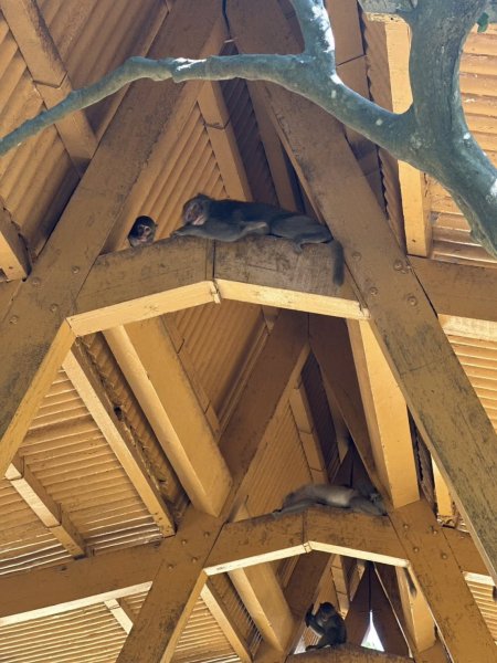 20260217 小百岳壽山3003043