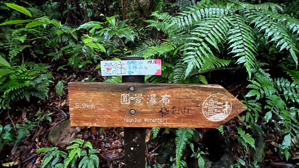 大縱走第4段3053230