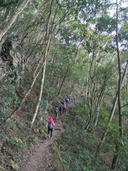 【谷關七雄2】~馬崙山-201911101709874