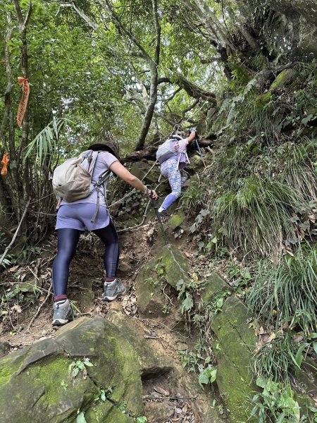 20250824小百岳大橫屏山2871818