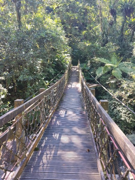 九寮溪自然步道2867198