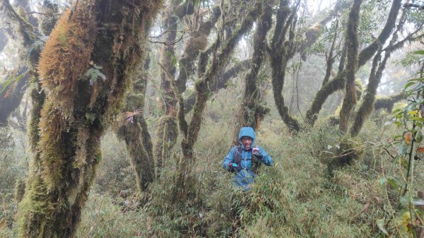 茶仁山單攻2025年4月4日2753327