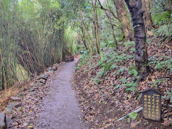 橫嶺古道 湖山國小步道1194203