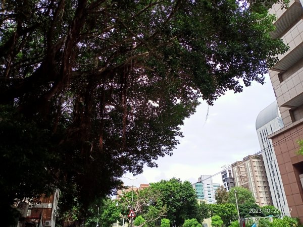 內湖大港墘公園、文德三號公園、大稻埕慈聖宮【走路趣尋寶、健康大穀東】2322788