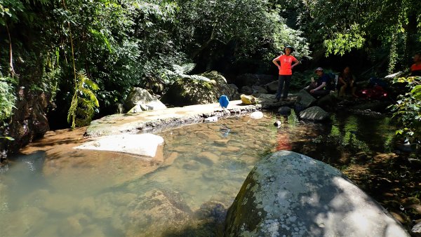 春暖花開暢遊水圳道和水牛有約在陽明山內雙溪古道及頂山石梯嶺步道與坪頂古圳道2086399