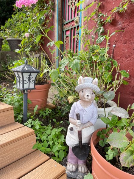 川藏深度之旅33天/A行程2902775