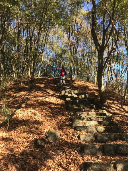 隱藏寧靜望美部落的望美山、望高寮、瓊山482280