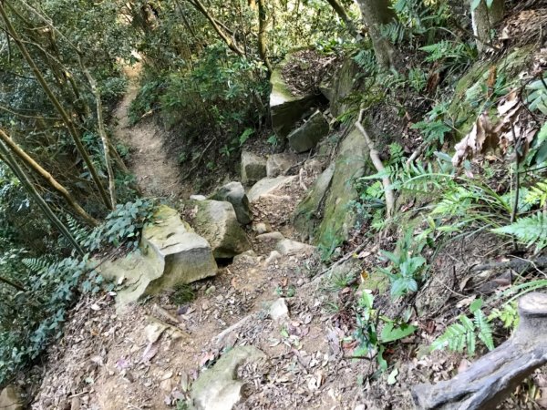 五寮尖上大風狂448896