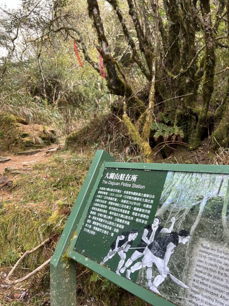 百岳-塔關山2695791