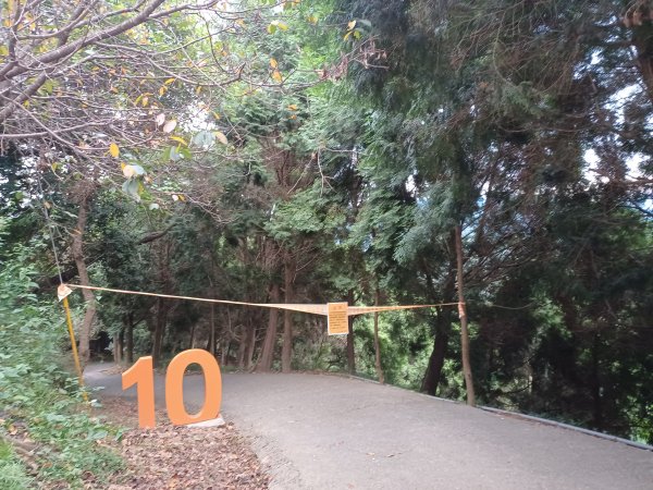 【台中北屯】台中大坑九號步道2933028