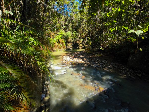 2024-08-22 澀水森林步道2578381