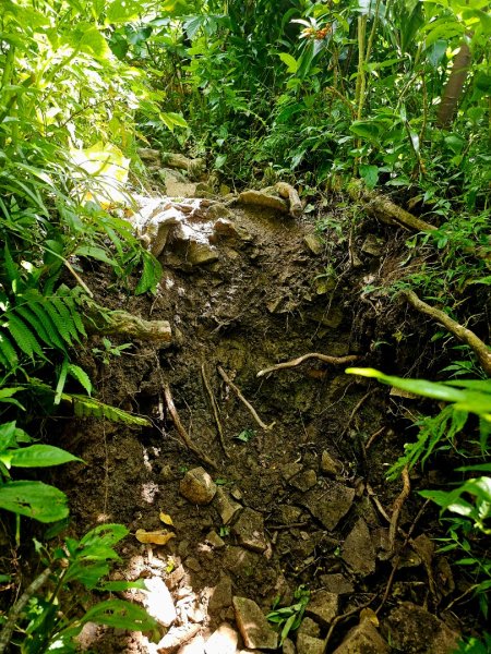 紅頭山-小百岳#97-台東縣蘭嶼鄉2901074