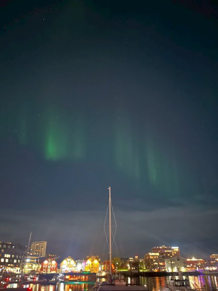 Norway-Lofoten Islands Ballstad,Tromso追極光2917829