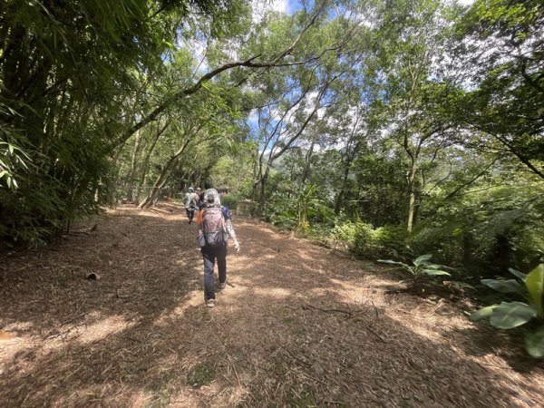 燦光寮古道2903101