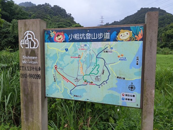 2026樟之細道：小粗坑古道3111823